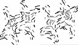 Faucet Handles; Type: Faucet Handles ; Style: VISE-GRIP CP HANDLES (PAIR) ; For Manufacturer: EMPTY ; For Manufacturer's Number: EMPTY ; PSC Code: 4510